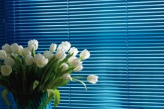 Venetian-Blinds-Atlantic-25mm
