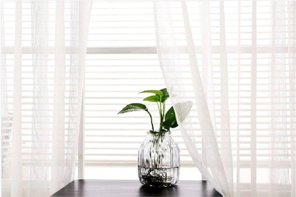 The Benefits of Sheer Curtains For Your Home - Blind Technique Ltd